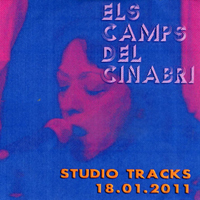 Studio Tracks 18.01.2011